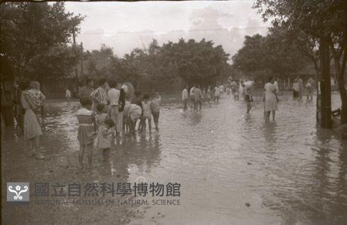 1950至2006年臺灣常民生活藏品圖，第1張