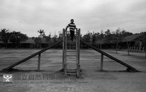 1950至2006年臺灣常民生活藏品圖，第1張