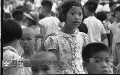 1950至2006年臺灣常民生活藏品圖，第1張