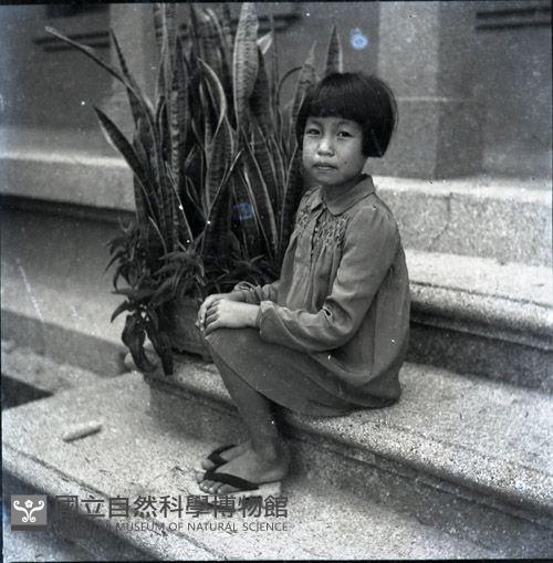 1950至2006年臺灣常民生活藏品圖，第1張
