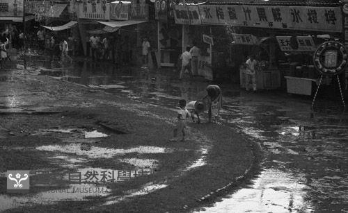 1950至2006年臺灣常民生活藏品圖，第1張