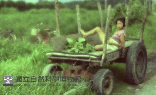 1950至2006年臺灣常民生活藏品圖，第1張