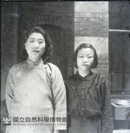 1950至2006年臺灣常民生活藏品圖，第1張