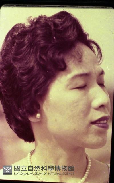 1950至2006年臺灣常民生活藏品圖，第1張