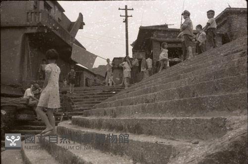 1950至2006年臺灣常民生活藏品圖，第1張