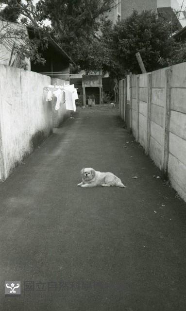 1950至2006年臺灣常民生活藏品圖，第1張