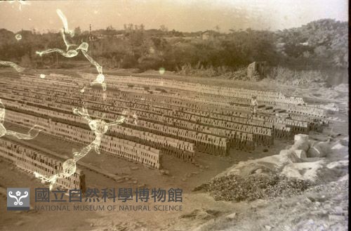1950至2006年臺灣常民生活藏品圖，第1張