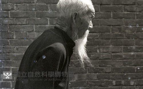 1950至2006年臺灣常民生活 藏品圖，第1張