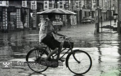 1950至2006年臺灣常民生活藏品圖，第1張