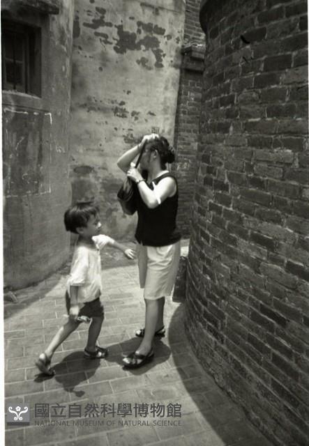 1950至2006年臺灣常民生活藏品圖，第1張