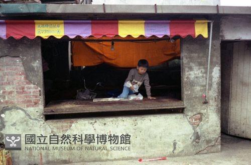 1950至2006年臺灣常民生活藏品圖，第1張