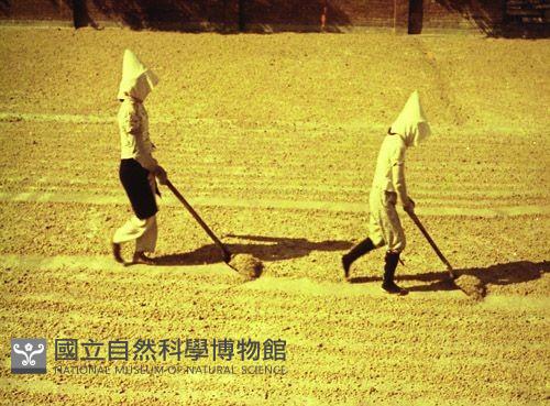 1950至2006年臺灣常民生活藏品圖，第1張