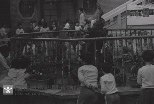 1950至2006年臺灣常民生活藏品圖，第1張