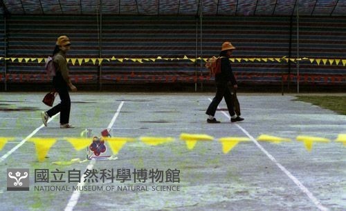 1950至2006年臺灣常民生活藏品圖，第1張