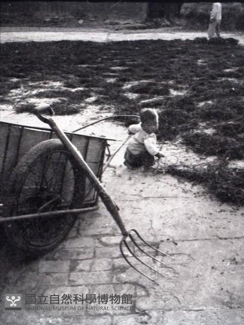 1950至2006年臺灣常民生活藏品圖，第1張