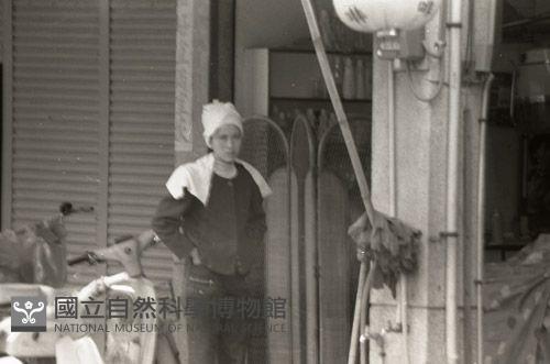 1950至2006年臺灣常民生活藏品圖，第1張