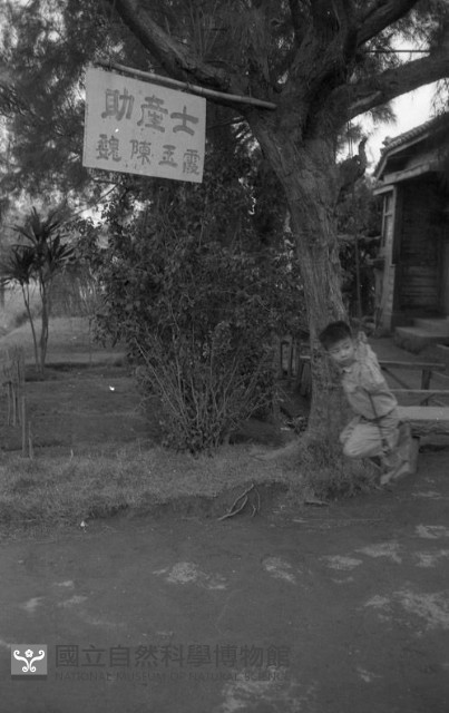 1950至2006年臺灣常民生活藏品圖，第1張