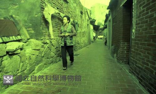 1950至2006年臺灣常民生活藏品圖，第1張