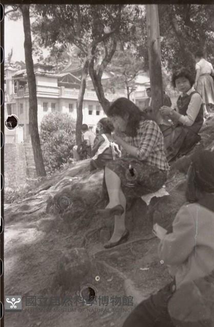 1950至2006年臺灣常民生活藏品圖，第1張