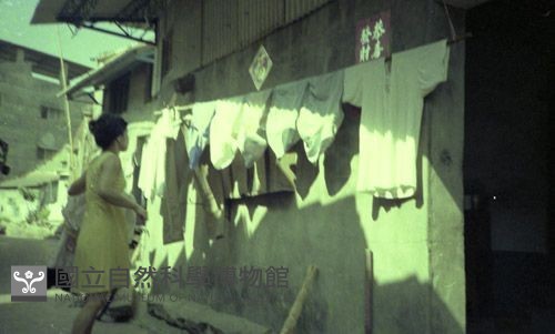 1950至2006年臺灣常民生活藏品圖，第1張