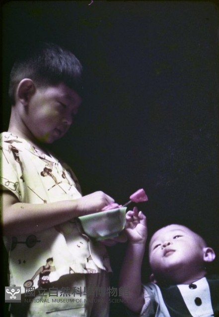 1950至2006年臺灣常民生活藏品圖，第1張