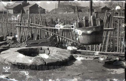 1950至2006年臺灣常民生活藏品圖，第1張