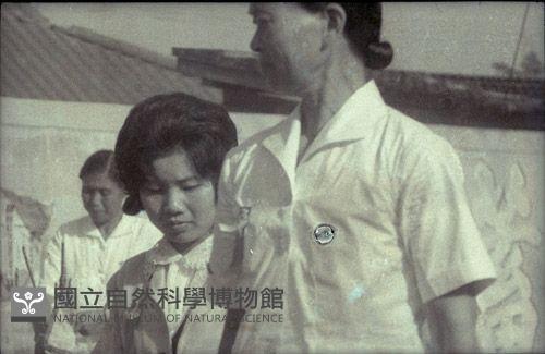 1950至2006年臺灣常民生活藏品圖，第1張