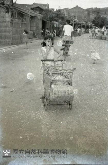 1950至2006年臺灣常民生活藏品圖，第1張