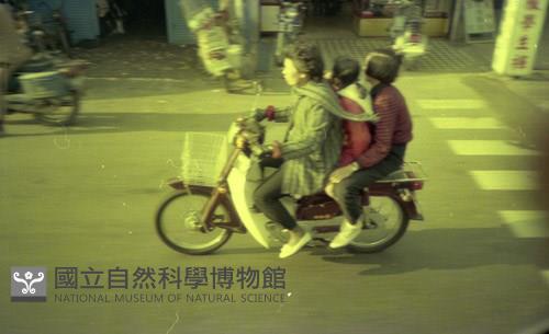 1950至2006年臺灣常民生活藏品圖，第1張