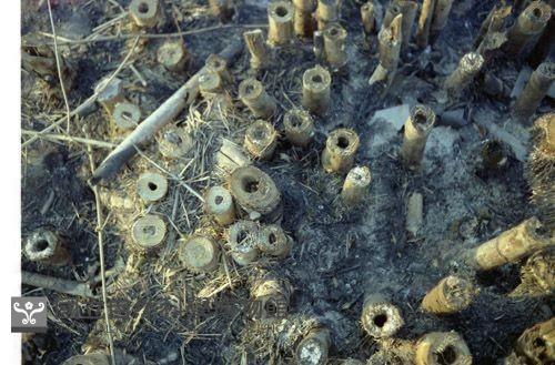 1950至2006年臺灣常民生活藏品圖，第1張