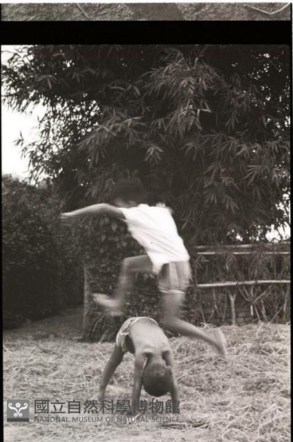 1950至2006年臺灣常民生活藏品圖，第1張