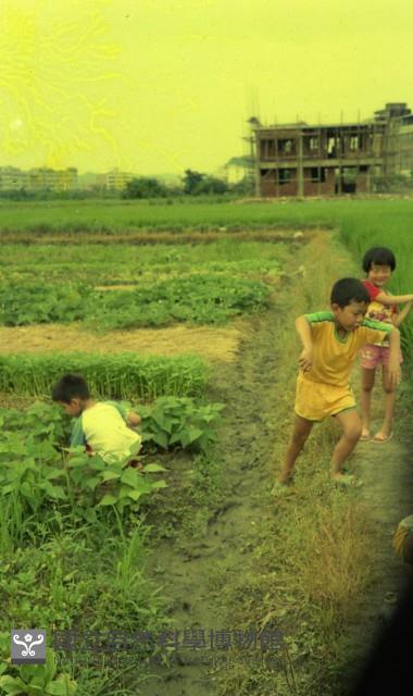 1950至2006年臺灣常民生活藏品圖，第1張