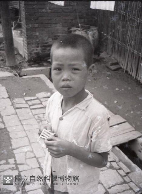 1950至2006年臺灣常民生活藏品圖，第1張