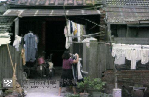 1950至2006年臺灣常民生活藏品圖，第1張