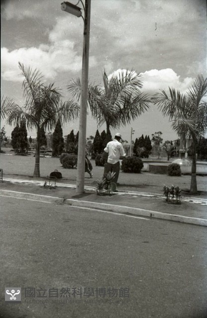1950至2006年臺灣常民生活藏品圖，第1張