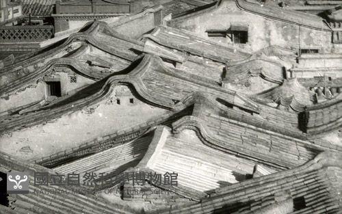 1950至2006年台灣常民生活藏品圖，第1張