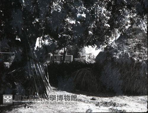 1950至2006年臺灣常民生活藏品圖，第1張