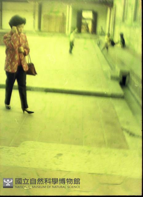 1950至2006年臺灣常民生活藏品圖，第1張