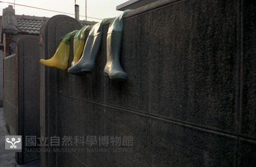 1950至2006年臺灣常民生活藏品圖，第1張
