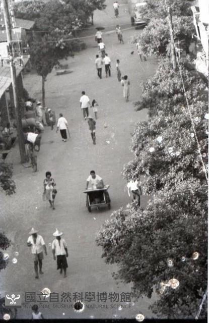 1950至2006年台灣常民生活藏品圖，第1張