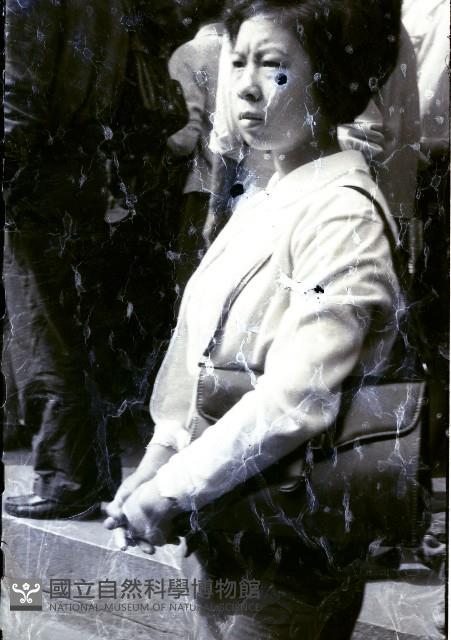 1950至2006年臺灣常民生活藏品圖，第1張