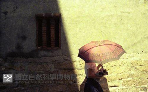 1950至2006年臺灣常民生活藏品圖，第1張