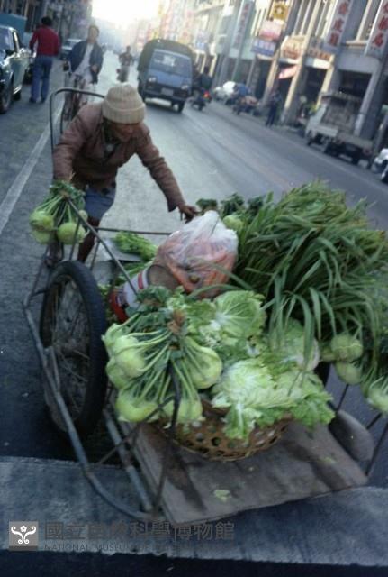 1950至2006年臺灣常民生活藏品圖，第1張