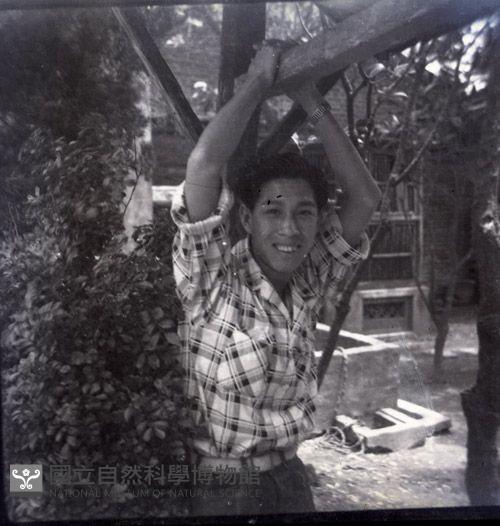 1950至2006年臺灣常民生活藏品圖，第1張