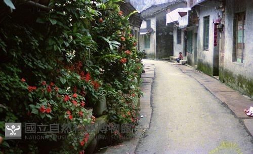 1950至2006年臺灣常民生活藏品圖，第1張