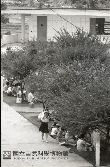 1950至2006年臺灣常民生活藏品圖，第1張