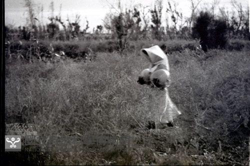1950至2006年臺灣常民生活藏品圖，第1張