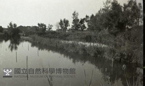 1950至2006年臺灣常民生活 藏品圖，第1張