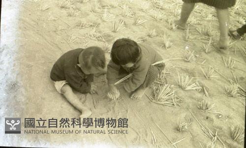 1950至2006年臺灣常民生活藏品圖，第1張