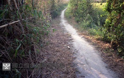 1950至2006年臺灣常民生活藏品圖，第1張